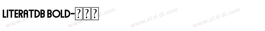 LiteratDB Bold字体转换 LiteratDB Bold字体转换